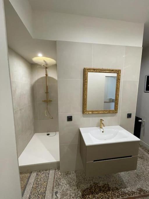 Appartement Chic Et De Caractere ! Saint-Cyr-au-Mont-d'Or Buitenkant foto
